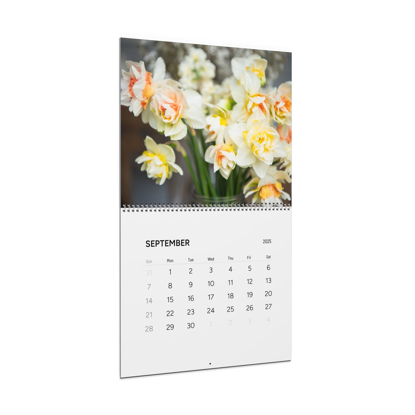Phaedra Gardeness Wall Calendar (2025) Ships from USA