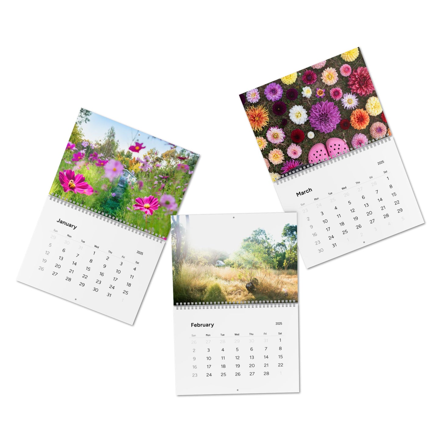 Phaedra Gardeness Wall Calendar (2025) Ships from Australia