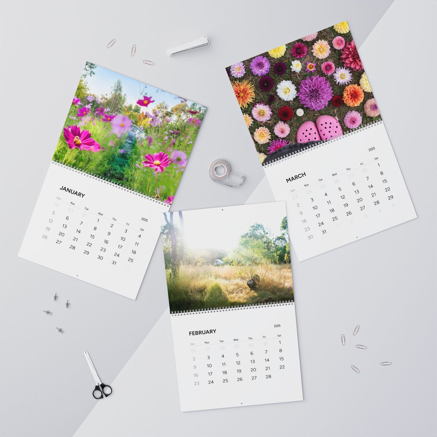 Phaedra Gardeness Wall Calendar (2025) Ships from USA