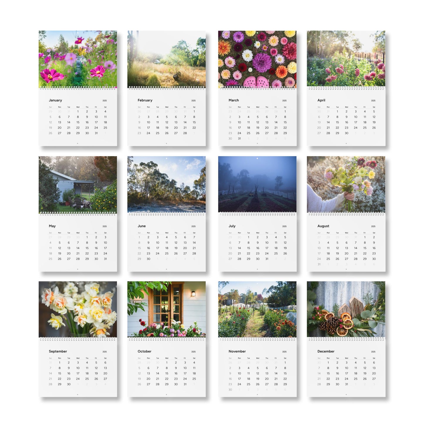Phaedra Gardeness Wall Calendar (2025) Ships from Australia