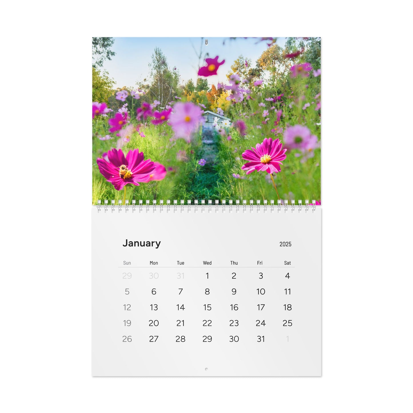 Phaedra Gardeness Wall Calendar (2025) Ships from Australia